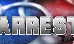 114 कार्टन विदेशी शराब बरामद, दो गिरफ्तार