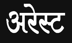 पुलिस भर्ती में आया फर्जी अभ्यर्थी अपने साथियों सहित गिरफ्तार पुलिस भर्ती में आया फर्जी अभ्यर्थी अपने साथियों सहित गिरफ्तार