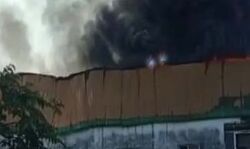 अंकिता हत्याकांड के आरोपी की फैक्ट्री में लगी आग- फायर ब्रिगेड मौके पर अंकिता हत्याकांड के आरोपी की फैक्ट्री में लगी आग- फायर ब्रिगेड मौके पर