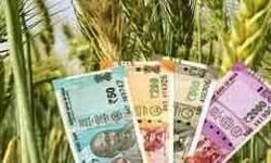 किसानों ने फसल बीमा का दिया 3 करोड़ रुपये, अब कंपनी ने दिखाया ठेंगा किसानों ने फसल बीमा का दिया 3 करोड़ रुपये, अब कंपनी ने दिखाया ठेंगा