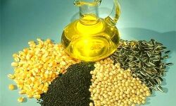 सरसों तेल, सोया रिफाइंड, गुड़ और चीनी महंगी सरसों तेल, सोया रिफाइंड, गुड़ और चीनी महंगी