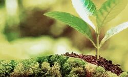 प्रकृति से छेड़छाड़ से बदला मौसम