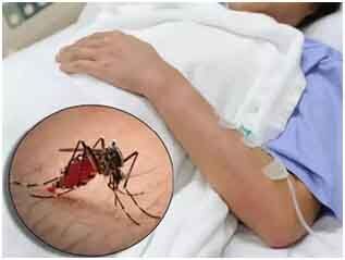 प्राण घातक हो रहा डेंगू का डंक