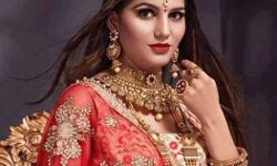 बुरी फंसी सपना चौधरी-हरियाणवी डांसर के खिलाफ आरोप तय