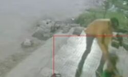 आंख में झोंकी मिट्टी- मां की गोद से बच्चा छीनकर भागे कार सवार आंख में झोंकी मिट्टी- मां की गोद से बच्चा छीनकर भागे कार सवार