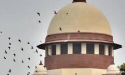 आजम खां की विधायकी रद्द करने का मामला एससी की चौखट पहुंचा आजम खां की विधायकी रद्द करने का मामला एससी की चौखट पहुंचा