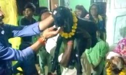 पैदा नहीं हुई औलाद तो किया ऐसा काम- अब हो रही चौतरफा चर्चा