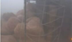 पलटा सब्जी से लदा वाहन तो टकरा गई एक के बाद एक 10 गाडियां