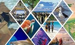 सोशल मीडिया और आईटी विभाग का सुघोष अभियान आज से