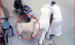 बुजुर्ग को पीट-पीटकर बुरी तरह किया घायल- मामला दर्ज बुजुर्ग को पीट-पीटकर बुरी तरह किया घायल- मामला दर्ज