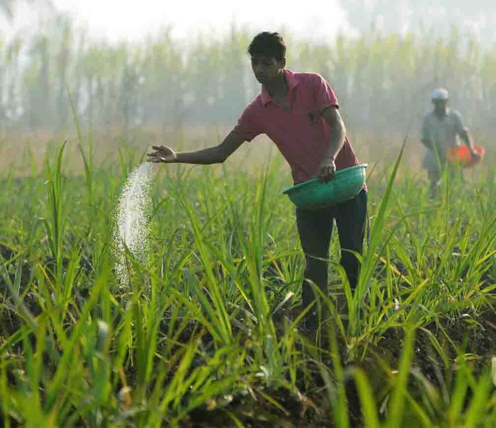 किसानों को यूरिया उर्वरक उपलब्ध कराने की मांग