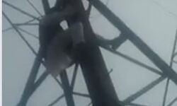 हाय राम टिकट से इतना लगाव- नहीं मिला तो टावर पर चढ़े पूर्व पार्षद हाय राम टिकट से इतना लगाव- नहीं मिला तो टावर पर चढ़े पूर्व पार्षद