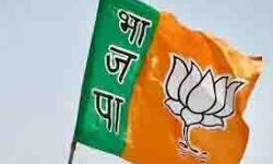 लो जी बीजेपी ने डिक्लेअर कर दिये उम्मीदवार- इन्हें दिए टिकट