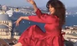 संगीता बिजलानी से परिंदे भी क्यों कर रहे छेड़खानी संगीता बिजलानी से परिंदे भी क्यों कर रहे छेड़खानी