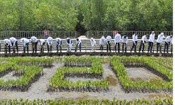 मोदी और अन्य नेताओं ने इस वन क्षेत्र में किया दौरा मोदी और अन्य नेताओं ने इस वन क्षेत्र में किया दौरा