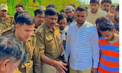 लाइन खींचते ही धड़ाम से जमीन पर गिरा हाईटेंशन टावर- दो की मौत लाइन खींचते ही धड़ाम से जमीन पर गिरा हाईटेंशन टावर- दो की मौत