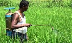 नौ हजार किसानों को मिल चुका है इतने करोड रुपये का अनुदान