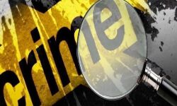 जहां से माल चुराया उसी दुकान पर बेचने पहुंची महिला- पकड़ा तो चबाई उंगली जहां से माल चुराया उसी दुकान पर बेचने पहुंची महिला- पकड़ा तो चबाई उंगली