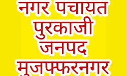 अगड़ों के हिस्से में रहा है पुरकाजी चेयरमैन का पद - पिछड़े वंचित अगड़ों के हिस्से में रहा है पुरकाजी चेयरमैन का पद - पिछड़े वंचित