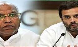 राहुल-खड़गे ने विश्व मत्स्य दिवस पर मछुआरों को दी बधाई राहुल-खड़गे ने विश्व मत्स्य दिवस पर मछुआरों को दी बधाई