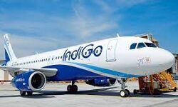 महिला की साथ फ्लाइट में हुआ ऐसा तो बिगड़ गई तबियत