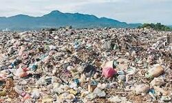 नहीं दिया सूखा और गीला कूड़ा अलग तो नहीं उठाया जाएगा कचरा नहीं दिया सूखा और गीला कूड़ा अलग तो नहीं उठाया जाएगा कचरा