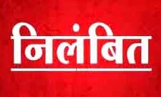 दुकानों पर छापेमारी- पांच के लाइसेंस निलम्बित दुकानों पर छापेमारी- पांच के लाइसेंस निलम्बित