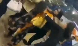 एक बॉयफ्रेंड के लिए आपस में भिड़ी 5 गर्ल- फाड डालें कपड़े, हुआ ऐसा हाल एक बॉयफ्रेंड के लिए आपस में भिड़ी 5 गर्ल- फाड डालें कपड़े, हुआ ऐसा हाल