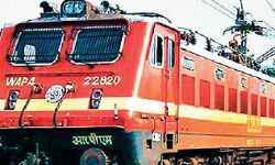 एक्सप्रेस की चपेट में आने से गोवंशों की‌ मौत- यातायात प्रभावित