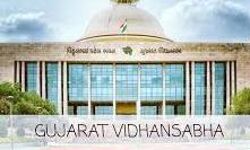 गुजरात में पहले चरण के लिए पहले मतदान फिर काम गुजरात में पहले चरण के लिए पहले मतदान फिर काम