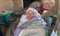 बेखौफ हुए बदमाश बुजुर्ग महिला के कुंडल खींचकर हुए फरार बेखौफ हुए बदमाश बुजुर्ग महिला के कुंडल खींचकर हुए फरार