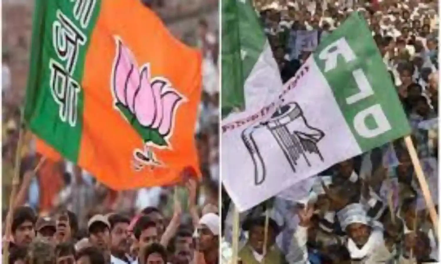 चेयरमैन चुनाव में इस बार फिर BJP की हैट्रिक में अड़ंगा लगा सकता है RLD