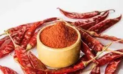 बकाया बिजली बिल की वसूली को पहुंची टीम पर मिर्च से हमला बकाया बिजली बिल की वसूली को पहुंची टीम पर मिर्च से हमला