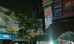 अंगूर की बेटी ने दिखाया असर तो चढ गया पेड के ऊपर-पुलिस की मिन्नते बेकार अंगूर की बेटी ने दिखाया असर तो चढ गया पेड के ऊपर-पुलिस की मिन्नते बेकार