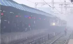 जमीन से आसमान तक कोहरे का कोहराम और जानलेवा ठंड का कहर