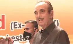 सिर मुंडाते ही पडे ओले-आजाद की पार्टी में फूट-3 नेता किए पार्टी से बाहर