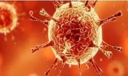 मेरठ में बिजनौर के 5 साल के बच्चे को कोरोना संक्रमण की पुष्टि मेरठ में बिजनौर के 5 साल के बच्चे को कोरोना संक्रमण की पुष्टि