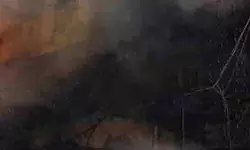 फैक्ट्री में लगी आग, इतने मजदूर जिंदा जले, कई लाख का नुकसान फैक्ट्री में लगी आग, इतने मजदूर जिंदा जले, कई लाख का नुकसान