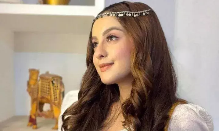 अभिनेत्री के केस में उठी SIT जांच की मांग- खान को भेजा गया कस्टडी