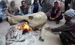 कोहरे का कोहराम व सर्दी का सितम जारी- पारा हुआ धड़ाम, अलर्ट किया... कोहरे का कोहराम व सर्दी का सितम जारी- पारा हुआ धड़ाम, अलर्ट किया...