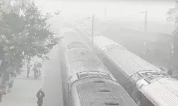 घना कोहरा छाये रहने से थमी ट्रेनों की रफ्तार घना कोहरा छाये रहने से थमी ट्रेनों की रफ्तार