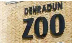 ठंड से बचने को कंबलो में दुबके सांप- उल्लू आदि जानवरों ने जलाए हीटर ठंड से बचने को कंबलो में दुबके सांप- उल्लू आदि जानवरों ने जलाए हीटर
