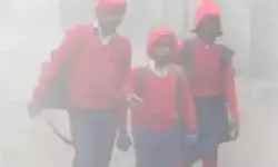 बच्चों को ठंड से बचाने का प्लान- स्कूलों में 15 तक छुट्टी का ऐलान बच्चों को ठंड से बचाने का प्लान- स्कूलों में 15 तक छुट्टी का ऐलान