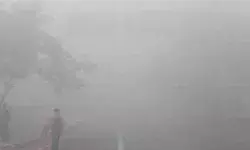 घने कोहरे के कारण- दो सड़क दुर्घटनाओं में चली गयी इतने लोगो की जान घने कोहरे के कारण- दो सड़क दुर्घटनाओं में चली गयी इतने लोगो की जान