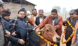 बोले CDO- बेजुबा जीव की सेवा करना सबसे पुण्य का काम- पशु को पहनाया कोट बोले CDO- बेजुबा जीव की सेवा करना सबसे पुण्य का काम- पशु को पहनाया कोट