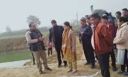 अधिकारियों के साथ किया निरिक्षण- कलेक्टर ने लगाए पेड़