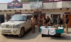 नीली बत्ती लगी स्कॉर्पियो में घूम रहे दरोगा जी निकले फर्जी- किए अरेस्ट नीली बत्ती लगी स्कॉर्पियो में घूम रहे दरोगा जी निकले फर्जी- किए अरेस्ट