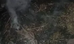 झोपड़ी में लगी आग- आधा दर्जन बकरियों के साथ जिंदा जला किसान झोपड़ी में लगी आग- आधा दर्जन बकरियों के साथ जिंदा जला किसान