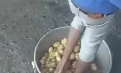 पब्लिक को खिलाये जाने वाले समोसे में पैर से धोकर भरे जा रहे आलू