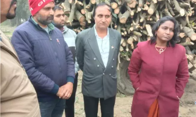 लो जी रातो रात पेड़ काटकर आम के बाग को बना दिया मैदान